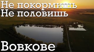 Карпфишинг Озеро Вовкове | Ловля карпа и я бокопор