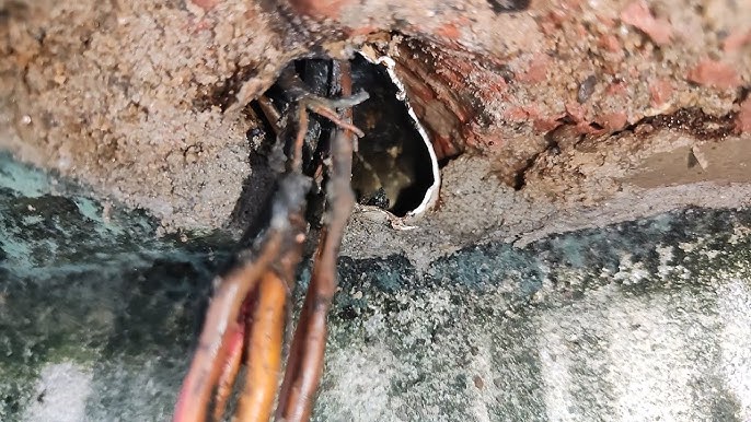 Xotinimni ijaraga sikishadi