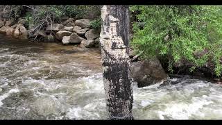 The Rushing Water of Estes Park