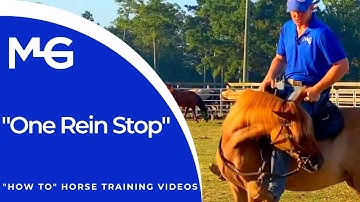 One Rein Stop A Horse | The Horse Guru - Michael Gascon
