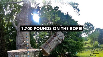 BIG RIGGING! 40ft Limbs and Huge Wood Chunks