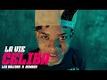 Demboy Feat. Les Daltons - " LA VIE CELIBA " ( Official Clip )