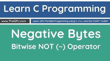 Learn C Programming - Negative Bytes - Bitwise Not ~ Operator