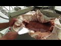 How Cocoa Butter is Extracted from Cocoa Paste - YouTube