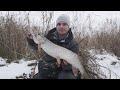 Зимний спиннинг на реке  Северский Донец. Где ловить щуку зимой? Максимум Рыбалки.