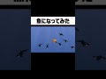 魚になって人間食べまくってみた #ぷちひなフレンズ #ぷちぷちの島