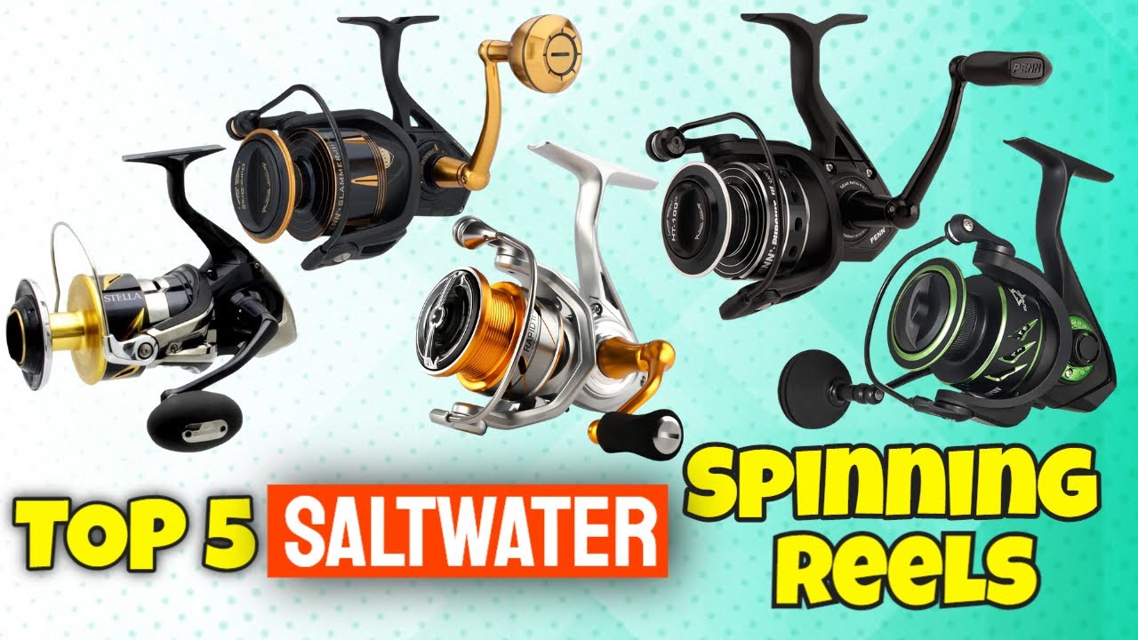 The Best Saltwater Spinning Fishing Reels in 2022