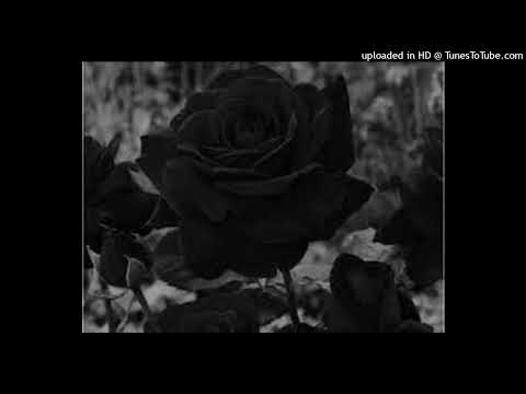 Mario Silva- N´vula