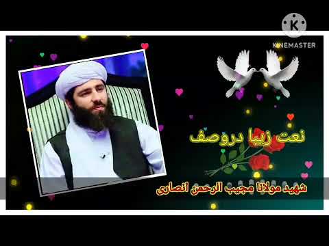 سرود زیبا در وصف شهید مولانا مجیب الرحمن انصاری