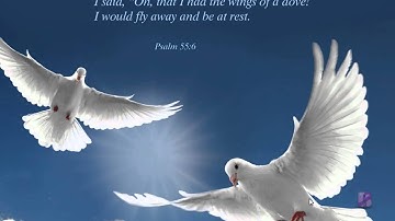 Easily Add a Start Menu to Windows 8