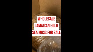 Wholesale Jamaican Gold Sea Moss #shorts