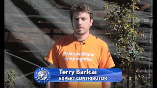 experts video   mold remediation procedure