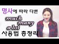 "많은" 의 의미를 가지고 있는 한정사 much/many/alot 사용법 I 니나