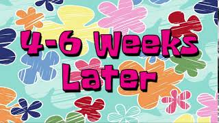 4 to 6 Weeks Later | Spongebob Time Cards