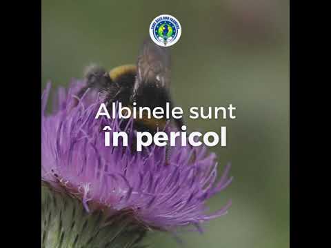 Video: De ce trebuie fermierii să folosească pesticide?