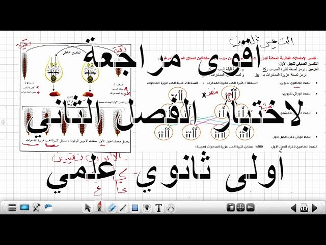 أقوى مراجعة لاختبار الفصل الثاني علوم طبيعية أولى ثانوي علمي