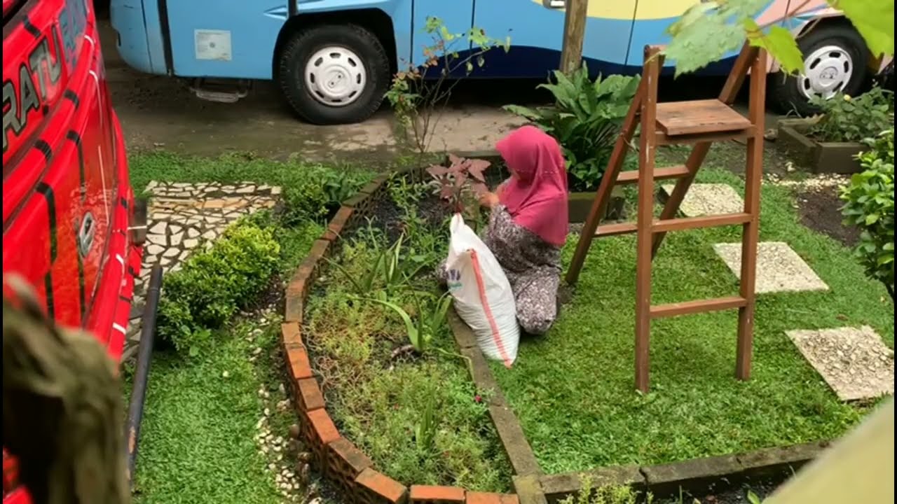 Rutinitas ibu rumah tangga yang hobinya berkebun di rumah hasilnya bisa di nikmati keluarga 