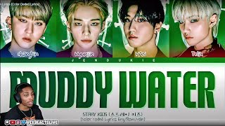 Stray Kids - Muddy Water | REACTION Resimi