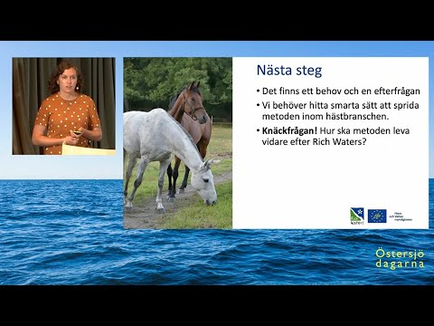 Video: 3 sätt att beskära mynta