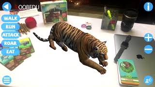 OOBEDU World of Zoo Tiger Demo screenshot 2