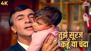 Tujhe Suraj Kahoon Ya Chanda  Manna Dey Old Classic Song  Sanjay Khan  Ek Phool Do Mali 1969