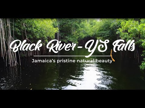 BEST KEPT SECRET: Black River Tours and YS Falls in Jamaica