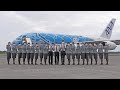 ANA A380 フライングホヌ 下地島空港に到着