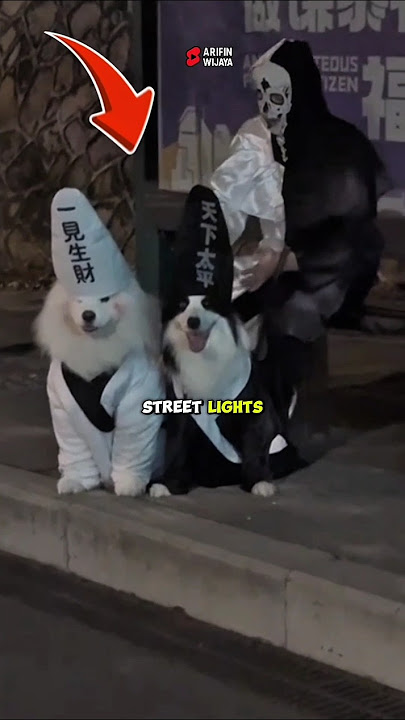 A Night of Costumes and Warm Hearts!