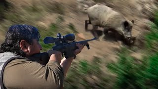 EPIC WILD BOAR HUNT IN TURKEY - HARİKA DOMUZ VURUŞLARI - CAZANDO JABALÍES