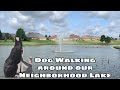 DOG WALKING | Let&#39;s visit our neighborhood lake | Excercise