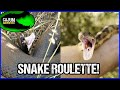 Snake Roulette!