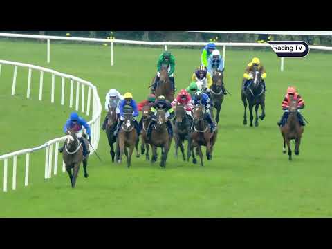 Ashroe diamond sparkles in grade one feature at fairyhouse - racing tv