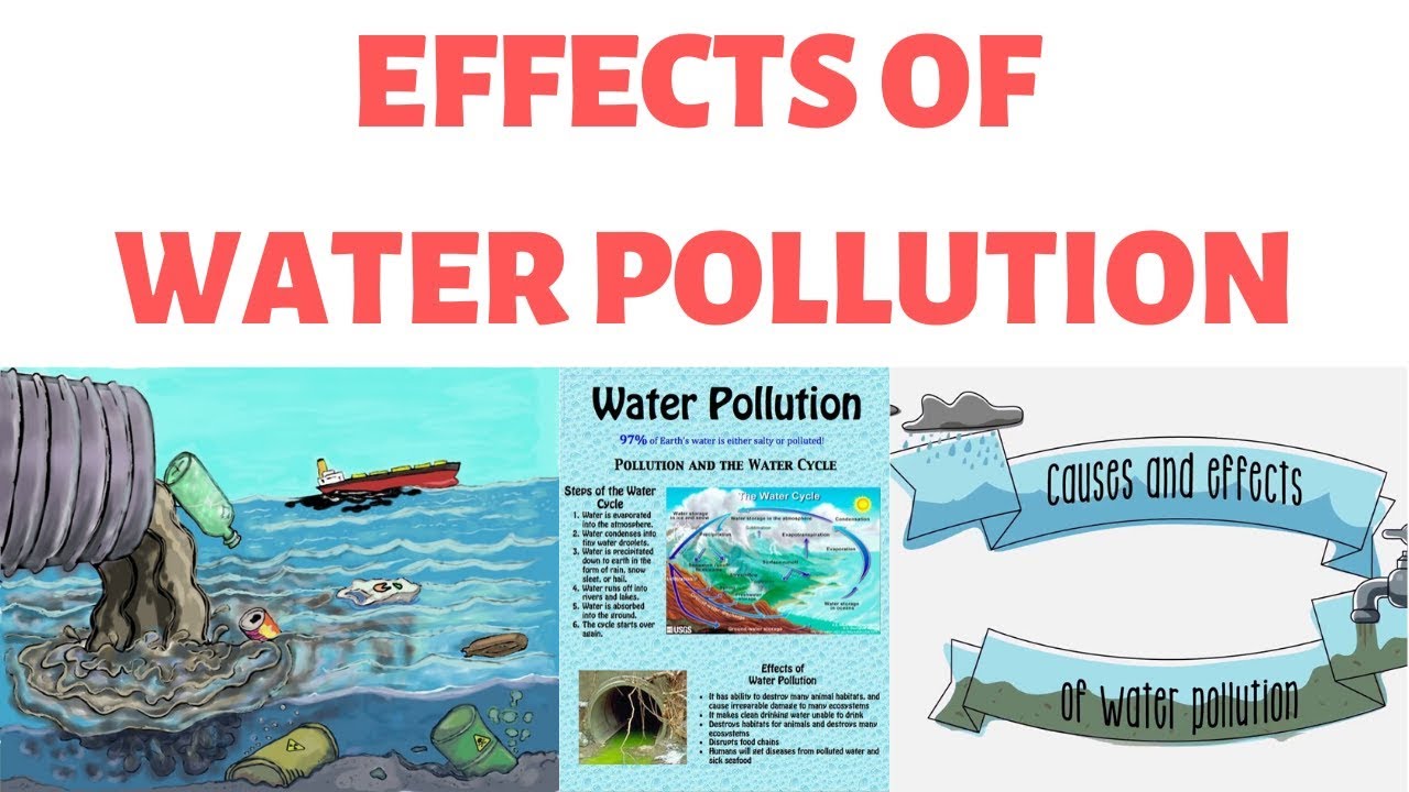 Effects Of Water Pollution On Human Animal Health Bod Cod Ground Water Pollution Youtube