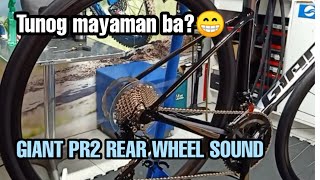 GIANT PR2 REAR WHEEL TEST SOUND