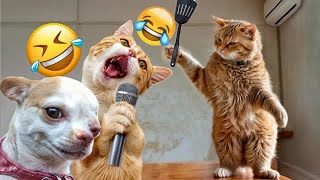 BEST Pets of the DECADE! | Funniest Videos