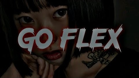 Go Flex - Post Malone ( Lyrics ) English Song | Alight Motion Preset | WhatsApp Status