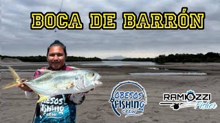 PRIMERA VEZ EN BOCA DE BARRON // TORO ENLARVADO // DOS NUEVAS ESPECIES CAPTURADAS