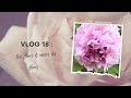 Vlog 18  des fleurs et encore des fleurs