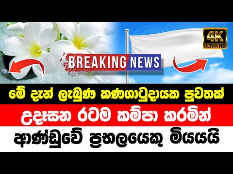 BREAKING NEWS | Special announcement Prime Minister Mahinda Rajapaksha | TODAY NEWS UPDATE | HIRU thumbnail