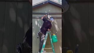 Our painting division team at Precision Painting & Power Washing has been busy!