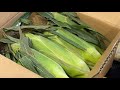 #西山食堂〜遅そめ金曜日を幸金へ🌽🌽🌽〜