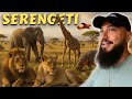 I Wasn T Ready For This Wildlife Welcome In Serengeti National Park Tanzania Absolutely Amazed