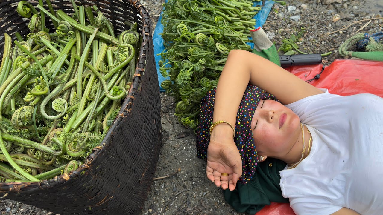 जंगल तिर निउराे टिप्न गाकाे निउराे धेरै थरि हुन्छन् याे चाहिँ बर्खामा बेँशीमा पाउने निउराे हाे है