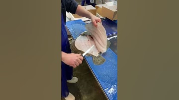 Turbot ! The finest  tasting fish in the sea . #shorts #fishmonger #fishing