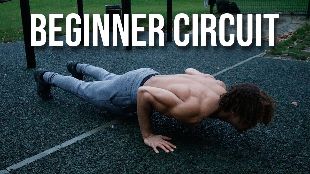 HOW TO START CALISTHENICS - MASTER THE BASICS