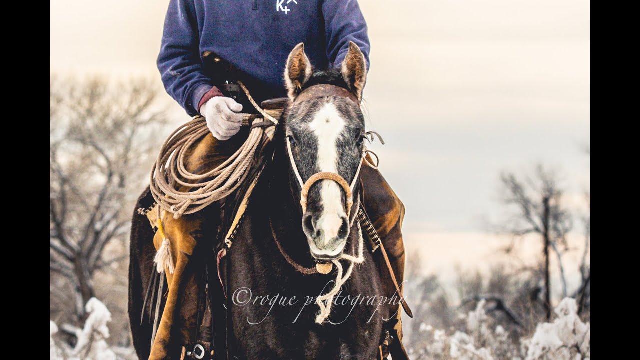 Hackamore Hangers plus DIY browband