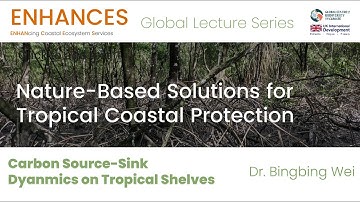 Carbon Source-Sink Dynamics on Tropical Shelves