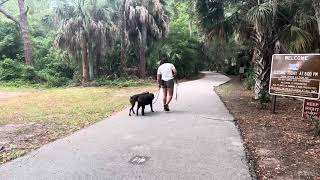 Coco & Lexi | Family Dogs | Nature Park by The Doghouse LLC 40 views 5 days ago 8 minutes, 52 seconds