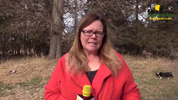 More on Borden Dairy