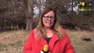 More on Borden Dairy